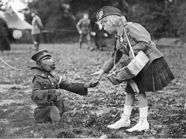 Lors de galas de charité organisés au profit des blessés de guerre, on pouvait acheter une poignée de mains ou un baiser du héros.