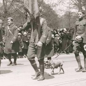 Stubby marchant au pas avec son régiment lors d'un défilé.